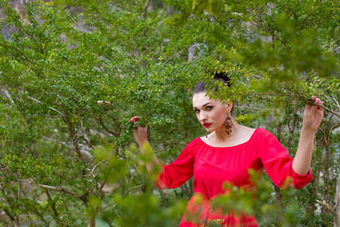 Similar image 13161604