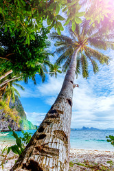 Similar image 13173106