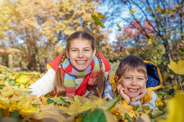 Similar image 13173156