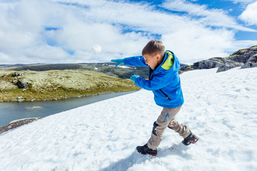 Similar image 13173158