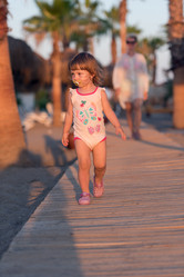 Similar image 13175769