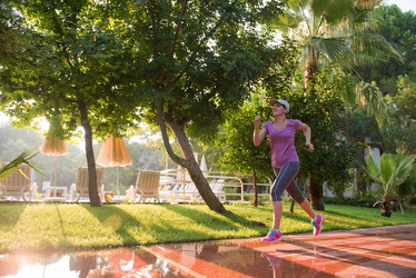 Similar image 13177263