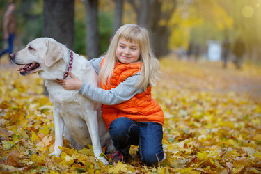 Similar image 13173354