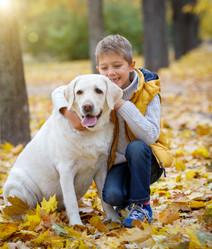 Similar image 13173402