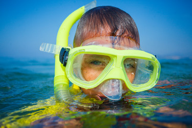 Similar image 13173283