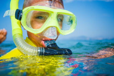 Similar image 13173299