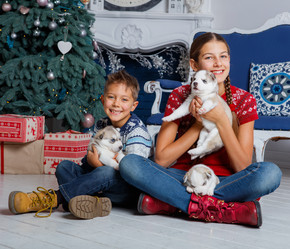 Similar image 13173143