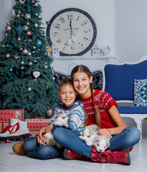 Similar image 13173144