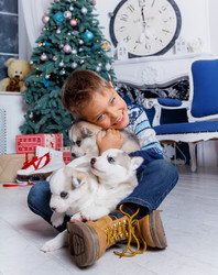 Similar image 13173145