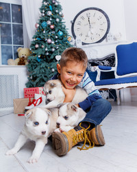 Similar image 13173165