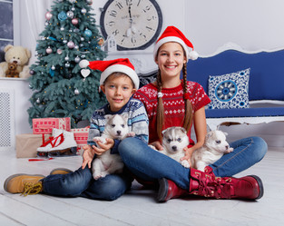 Similar image 13173360