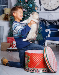 Similar image 13173103