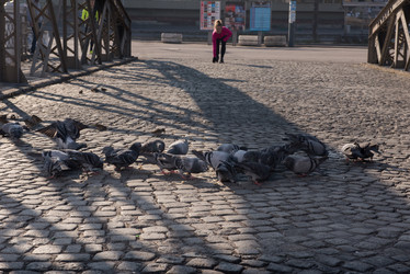 Similar image 13176183