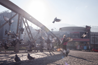 Similar image 13176252