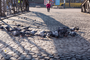 Similar image 13186583