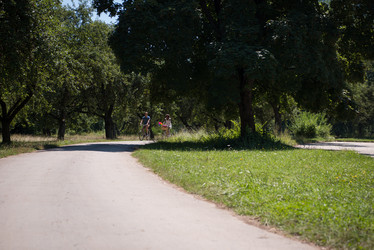 Similar image 13186189