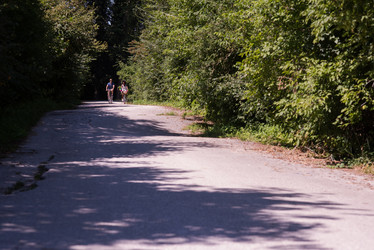 Similar image 13176755