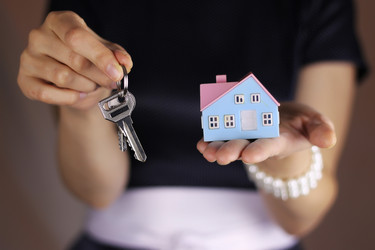 Similar image 13164152