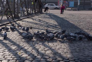 Similar image 13177107