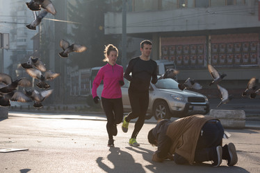 Similar image 13176331