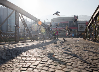 Similar image 13176814