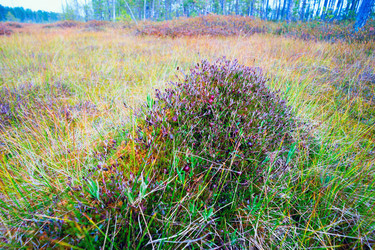 Similar image 13171505