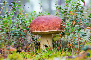 Similar image 13171452