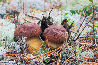 Similar image 13171453