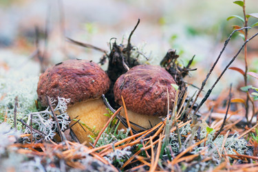 Similar image 13171454