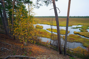 Similar image 13171456