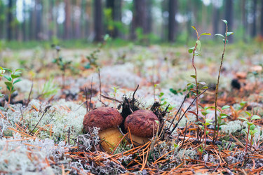 Similar image 13171459