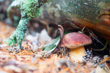 Similar image 13171460