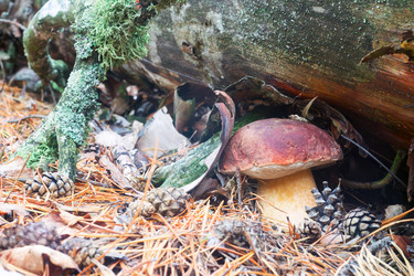 Similar image 13171461