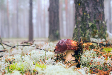 Similar image 13171466