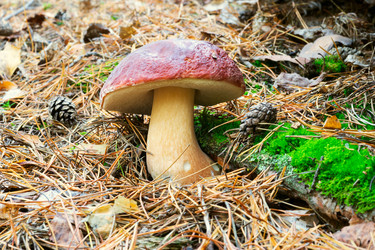 Similar image 13171476