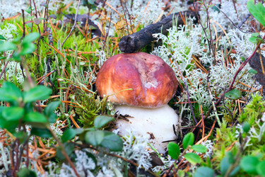 Similar image 13171480