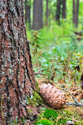 Similar image 13171486