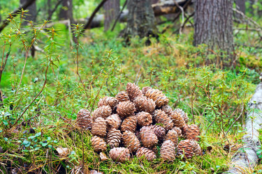 Similar image 13171490