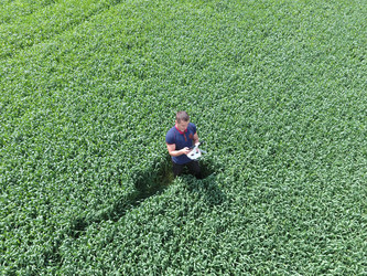 Similar image 13149835