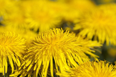 Similar image 13153861