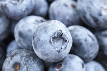 Similar image 13153863