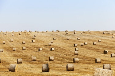 Similar image 13153840