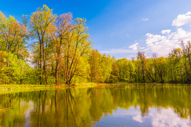 Similar image 13151860