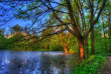 Similar image 13151898