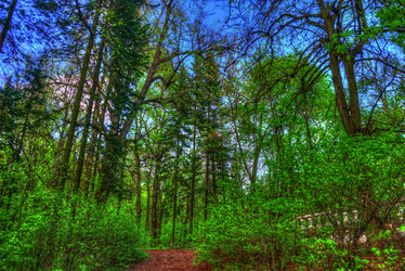 Similar image 13152053