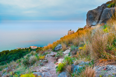 Similar image 13151327