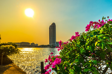 Similar image 13151600