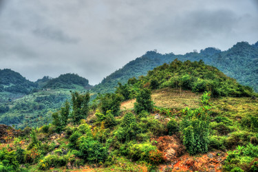 Similar image 13152150