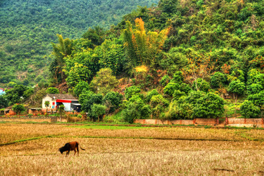 Similar image 13152305