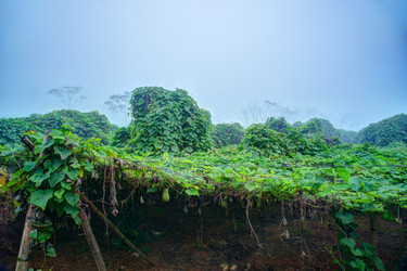 Similar image 13151429